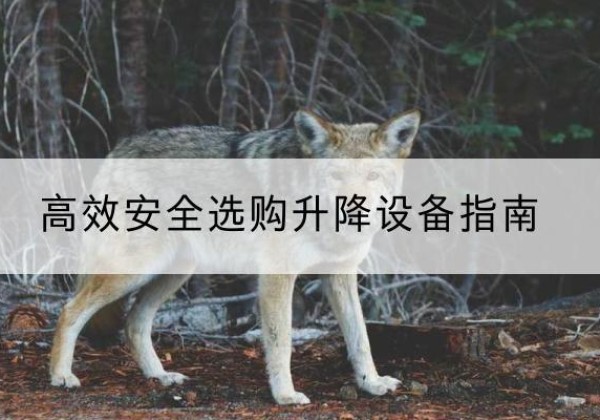 庆云升降货梯厂家推荐-*安全选购升降设备指南