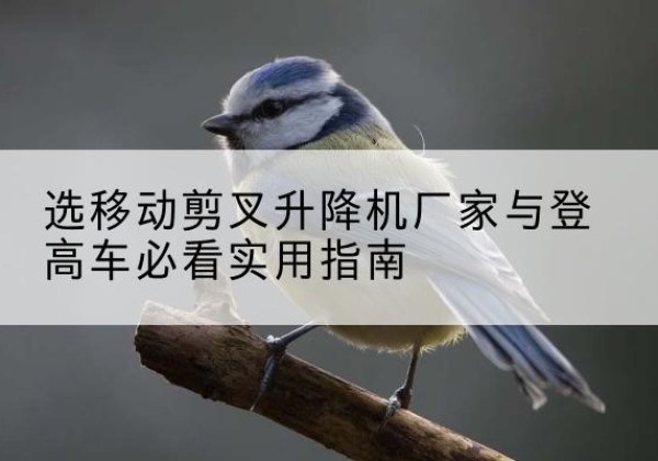 庆云电动升降机厂家-选移动剪叉升降机厂家与登高车必看实用指南